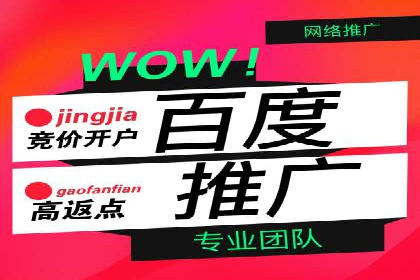百度广告推广助力电商行业案例分析